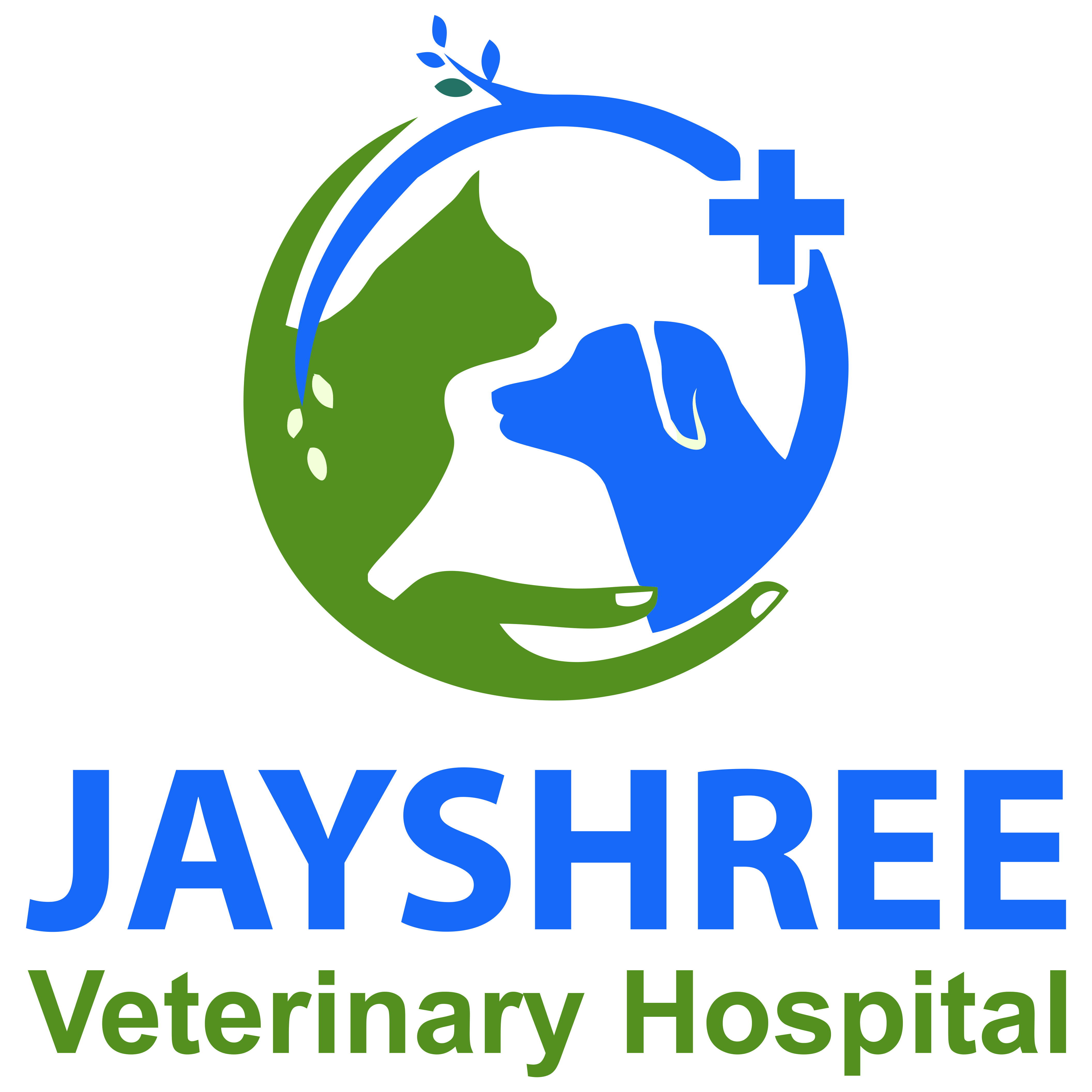 Vadodara Veterinary Hospital | Veterinary Hospital Providers In Vadodara | Veterinary  Hospital Vadodara